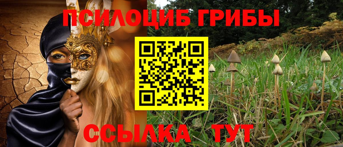 Псилоцибиновые грибы прущие грибы Всеволожск